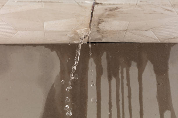 Professional Water Damage Repair technician working in Farmersville, TX
